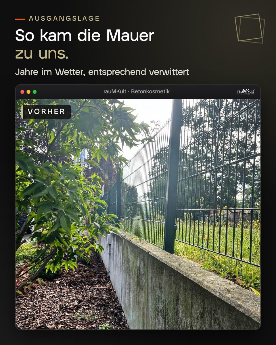 Die verwitterte Betonmauer vor der Arbeit, grau-grün verfärbt