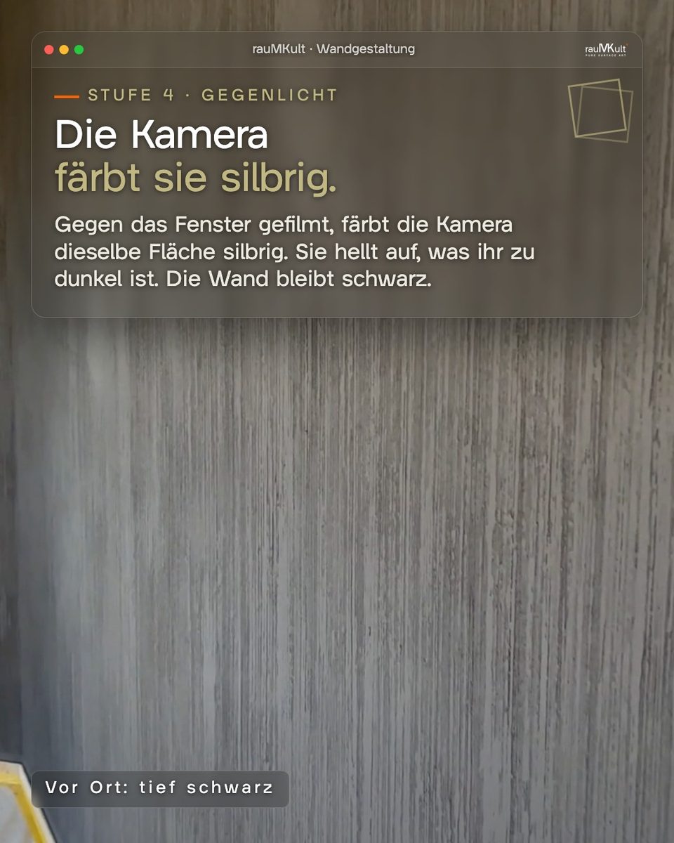 Stufe 4, Gegenlicht: die Kamera färbt dieselbe Fläche silbrig