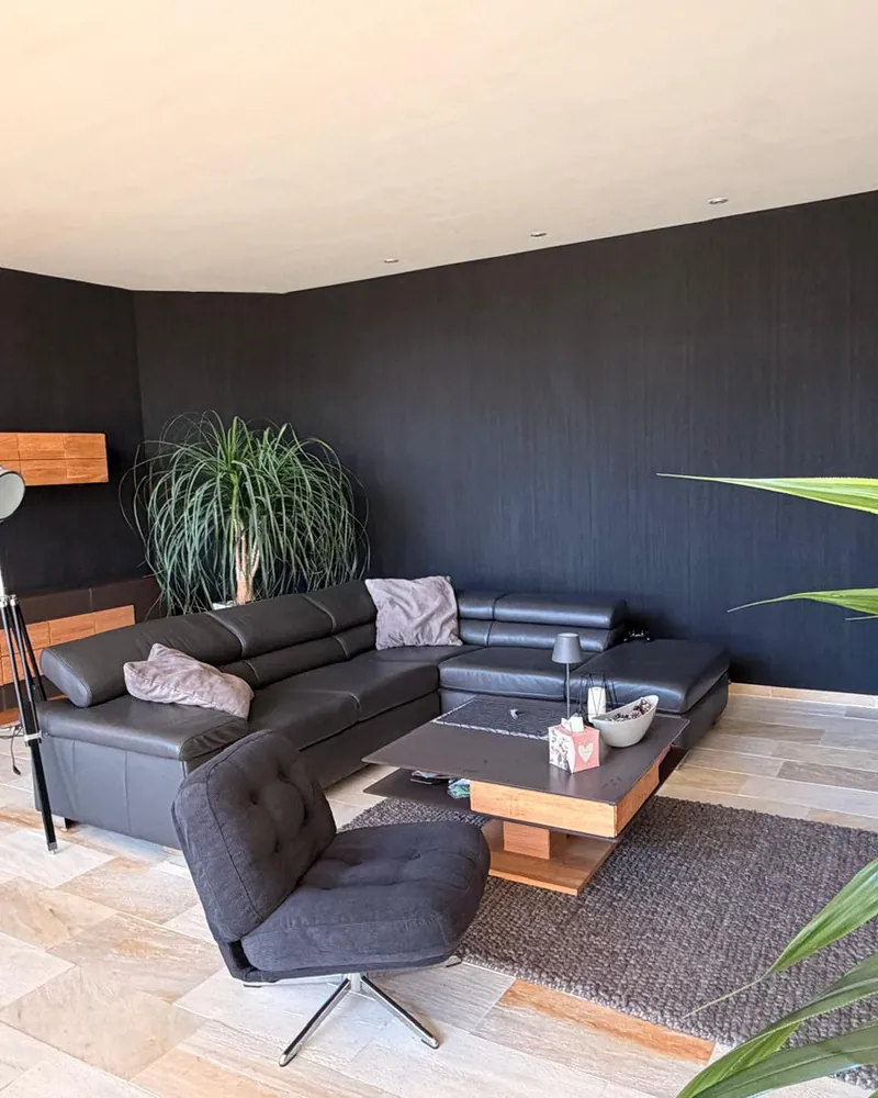 Schwarze Strukturwand aus Kalk hinter einem Ledersofa mit Sessel, Couchtisch und Stehleuchte, links eine große Zimmerpflanze