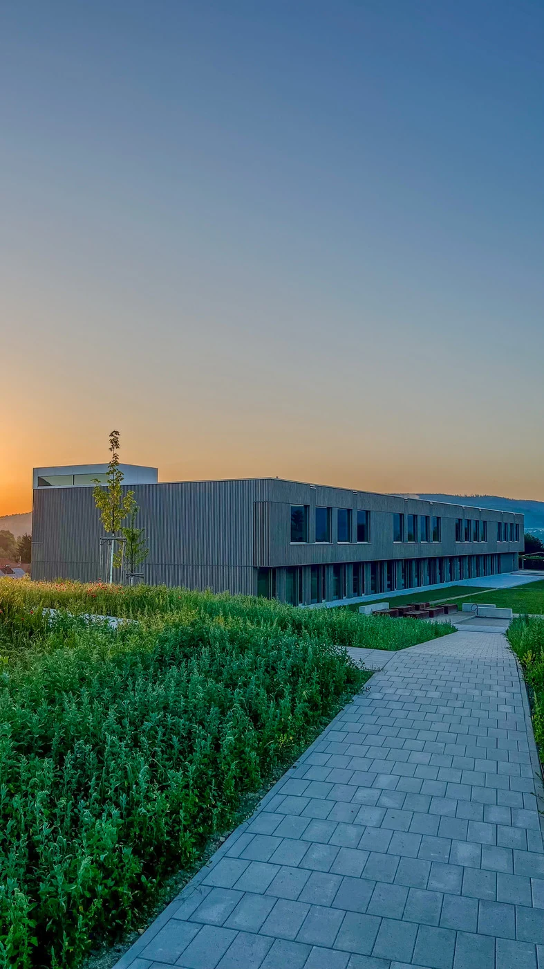 Die fertige Grundschule in Bad Berka im Morgenlicht, ein flacher Bau mit Holzfassade, davor ein Pflasterweg durch hohe Wiese