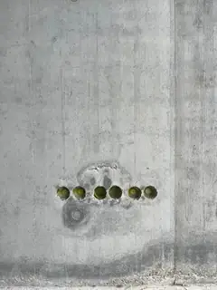 Sechs Elektrodosen nebeneinander in der Sichtbetonwand, rundherum ist der Beton ausgeblutet, darunter ein Ankerkonus