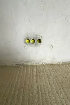 Drei kleine Elektrodosen mit gelben Deckeln nebeneinander über dem Estrich, der Beton ringsum ist leicht ausgewaschen