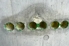 Sechs Elektrodosen in einer waagerechten Reihe, rundherum ein ausgebluteter Streifen im Beton mit freiliegendem Korn