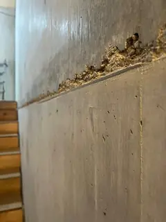 Gewölbte Betonwand mit körnigem Kiesnest über der Betonierfuge, links eine Holztreppe