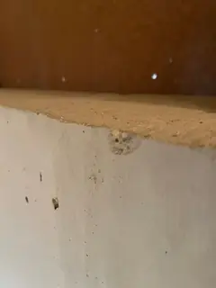 Untere Kante eines Betonbalkens mit kleiner Ausbruchstelle in der Mitte, darüber eine braune Fläche