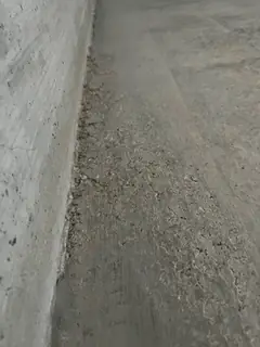 Innenkante mit körnig aufgerauter Zone, die sich nach unten verbreitert, links eine glatte Wand