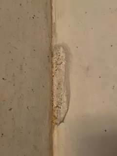 Senkrechte Ecke mit einem hellen, krustig aufgerauten Fleck neben der Kante, gelblich umrandet