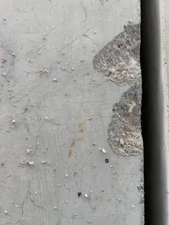Zwei übereinander liegende Abplatzungen am rechten Plattenrand, auf der Fläche kleine Sandkörner und ein Rostfleck