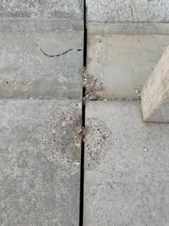 Kreuzung zweier Fugen zwischen Platten mit Abplatzungen und einem dunklen Riss, rechts eine Holzlatte