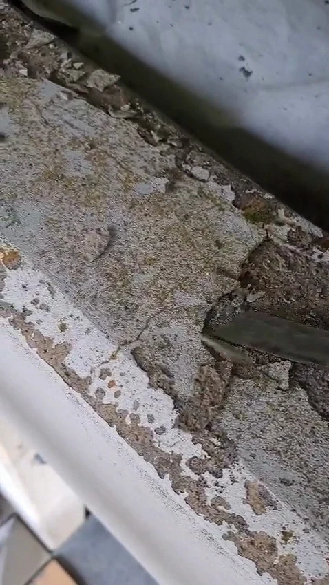 Video: Lose Mörtelschollen werden mit einer kleinen Kelle von der Mauerkrone abgehoben