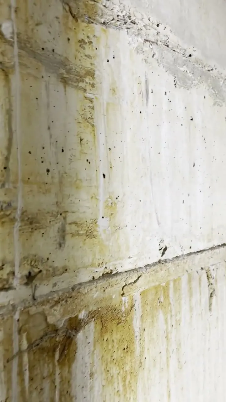 Video: Schwenk über die Musterfläche vor der Arbeit